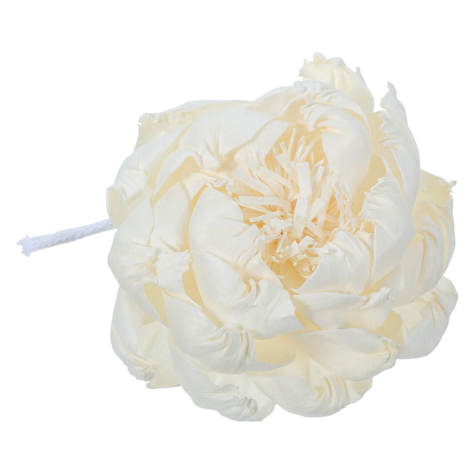 موزع عطر برائحة زهرة الفاونيا  - مراجعة Home Fragrance Oils وسعره