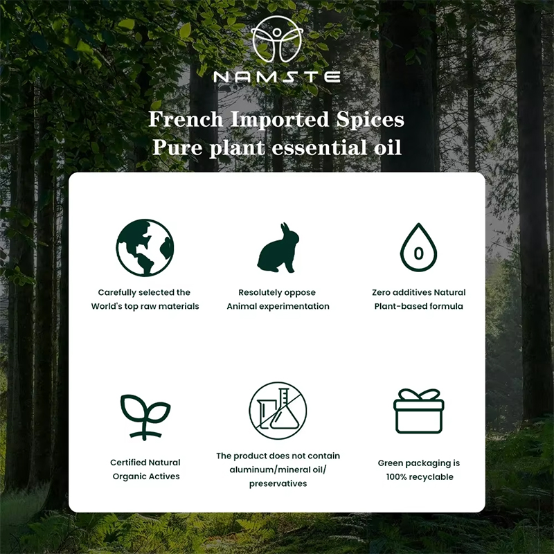 ناشط الروائح الكهربائي NAMASTE - مراجعة Home Fragrance Organic وسعره