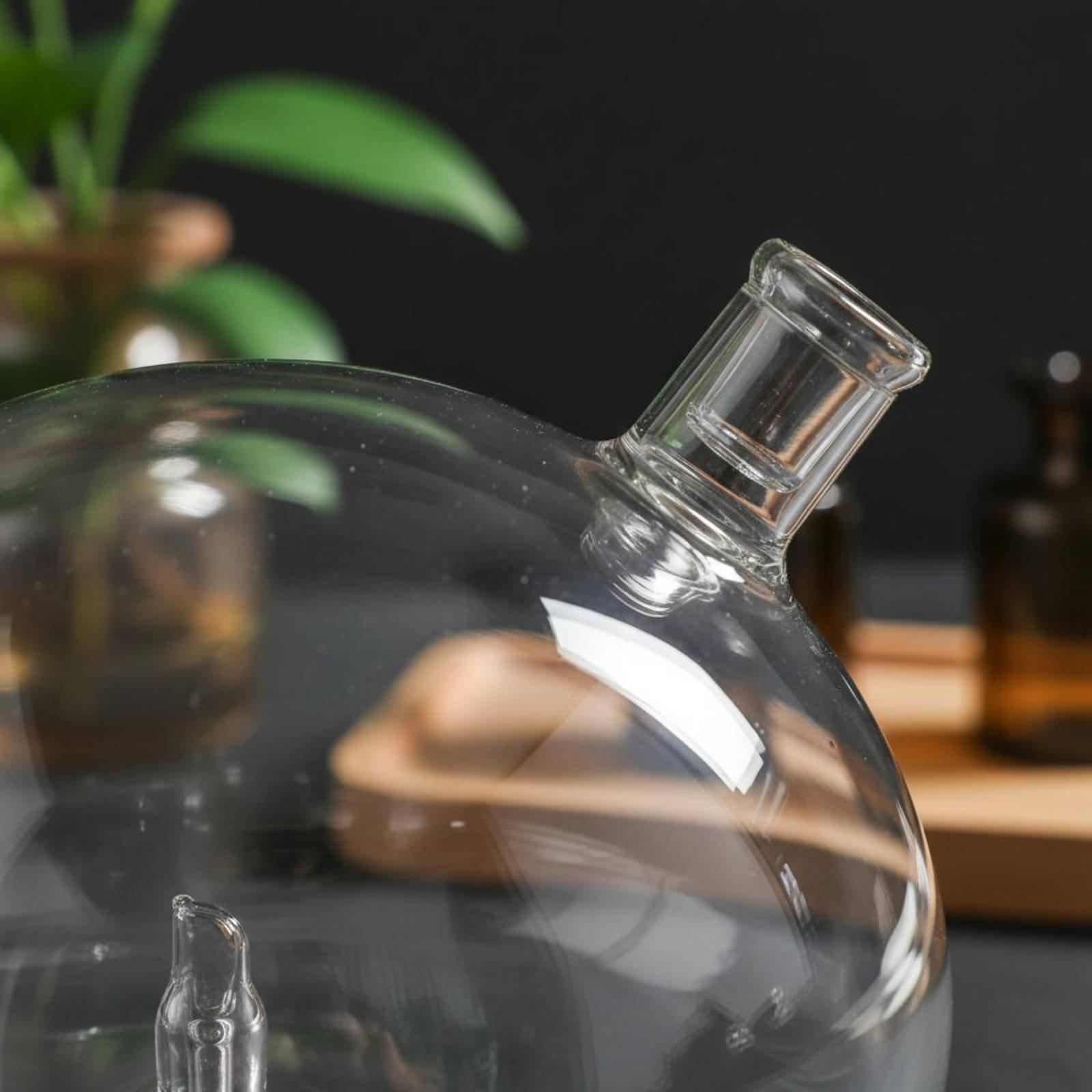 زجاجة ناشر عطر زجاجية بديلة عا - مراجعة Home Fragrance Diffusers وسعره
